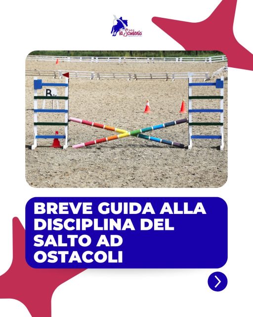 ✨Conosci davvero il salto ad ostacoli?
Scorri il carosello per sapere tutto di questa disciplina!🐎