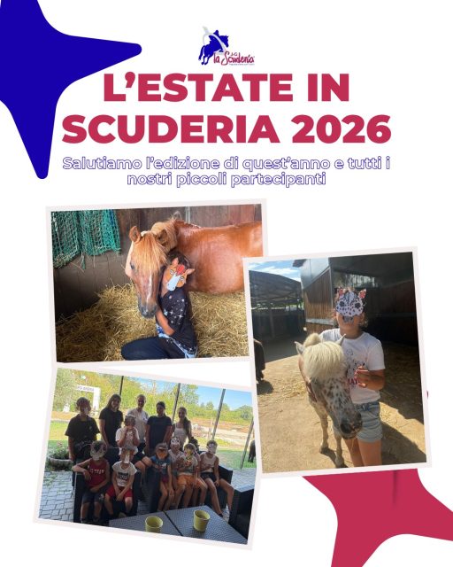 ✨Condividiamo con voi le foto dei nostri centri estivi.
Non potremmo essere più soddisfatti di questa edizione e non vediamo l'ora sia il prossimo anno per continuare a divertirci insieme 🍏