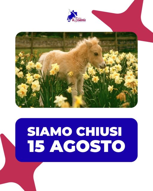 ⚠️La scuderia rimarrà chiusa il 15 agosto!
Ne aprofittiamo per fare gli auguri a tutti i nostri atleti e alle loro famiglie!
Non vediamo l'ora di ripartire! ❤️