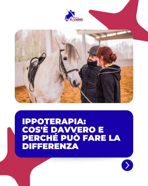 🧘🏻♀️L'ippoterapia non è semplicemente "andare a cavallo".
È un percorso terapeutico strutturato in cui il cavallo diventa un prezioso alleato per favorire il benessere fisico, cognitivo ed emotivo della persona.
Scopri nel carosello che cos'è e i suoi benefici!➡️
🐴 Visita il nostro sito per scoprire il nostro mondo.